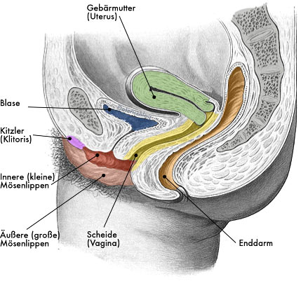 Anal sex richtig machen